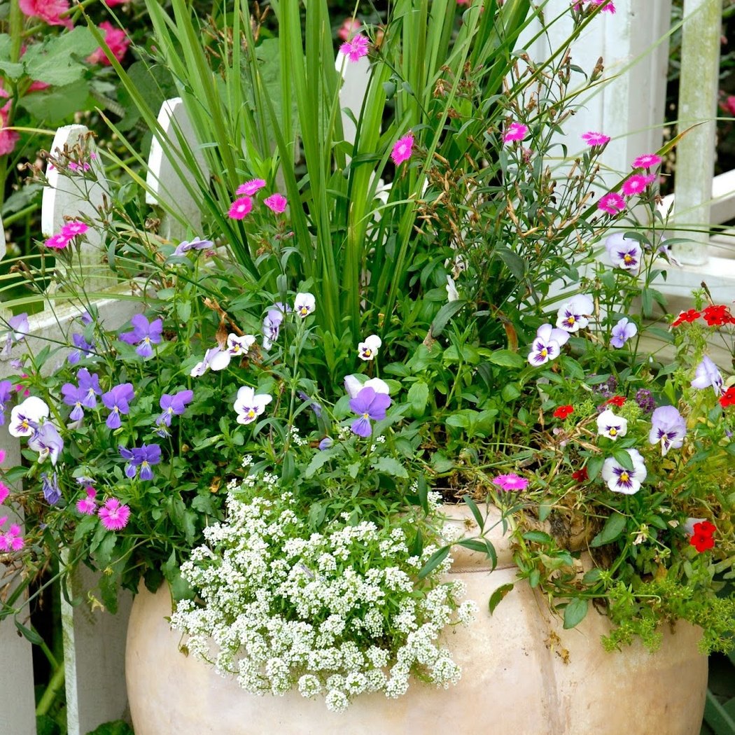 Discover The Fun of Fairy Gardening 1